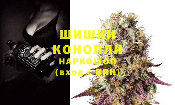 индика Покровск